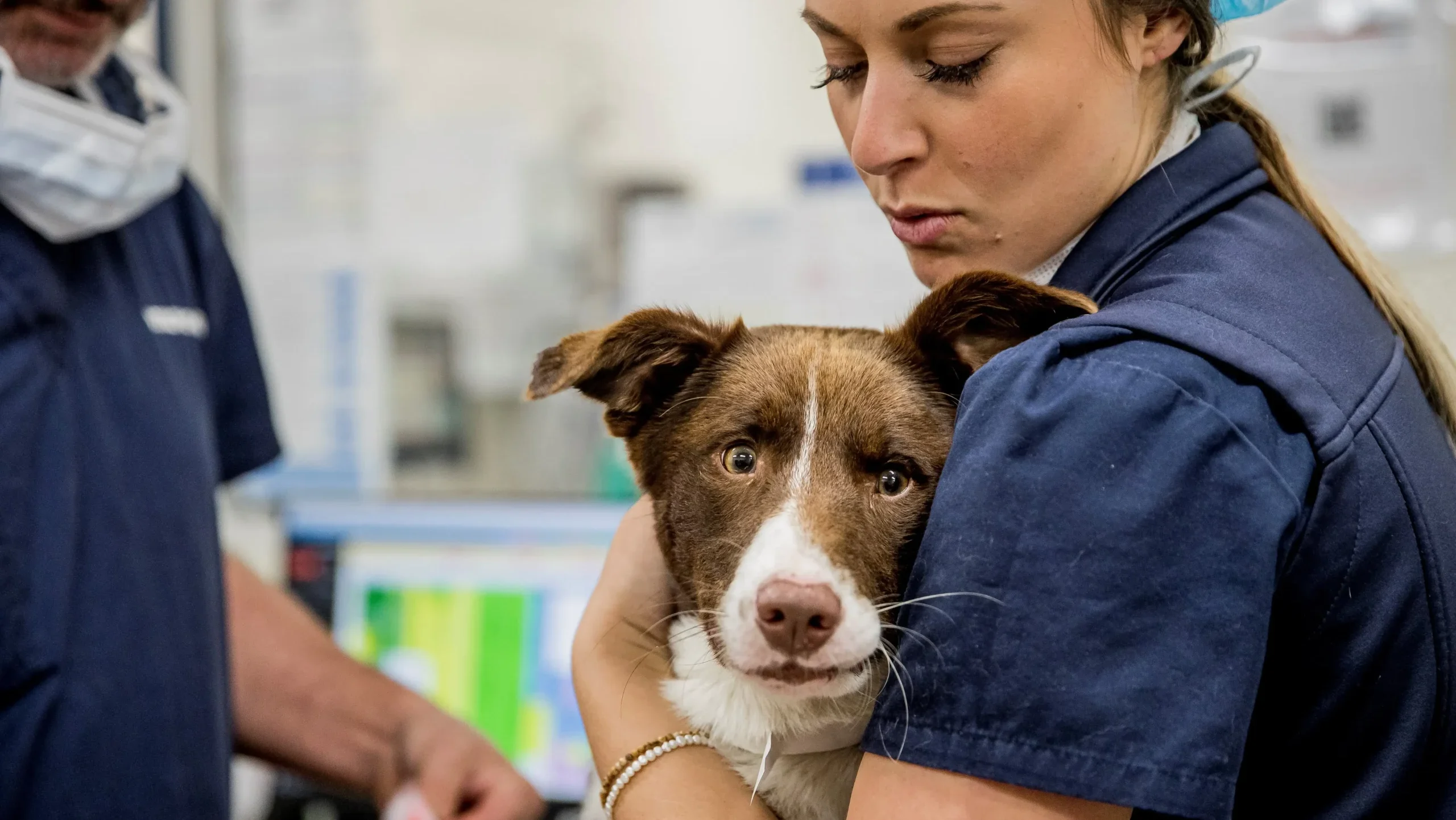 Nurse holding dog looking at camera