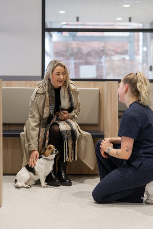 lort smith vet nurse consultations