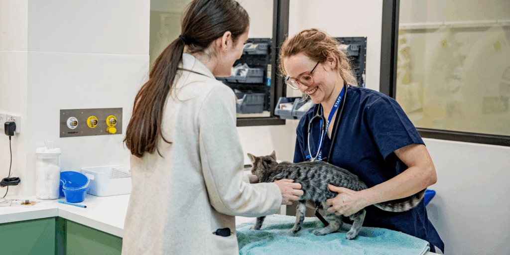 vet nurse careers at Lort Smith