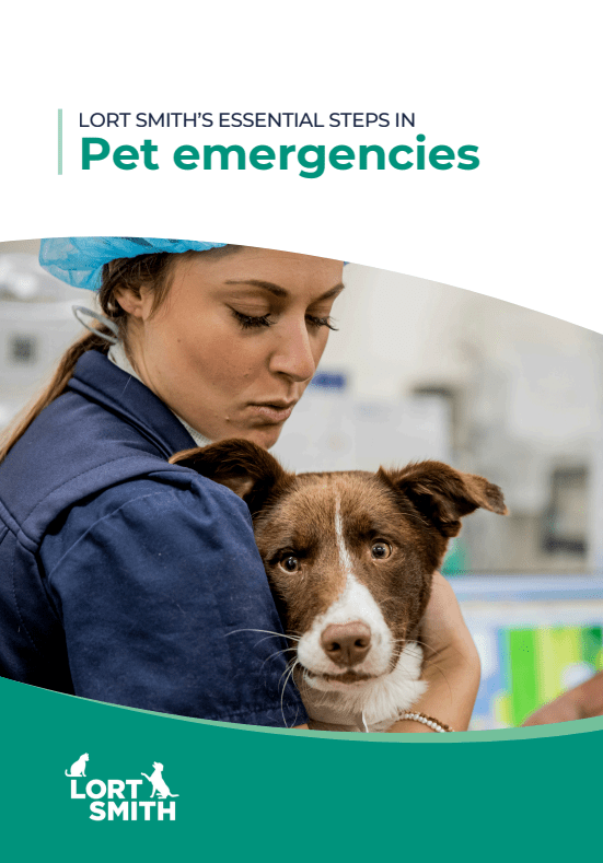 Essential steps in pet emergencies