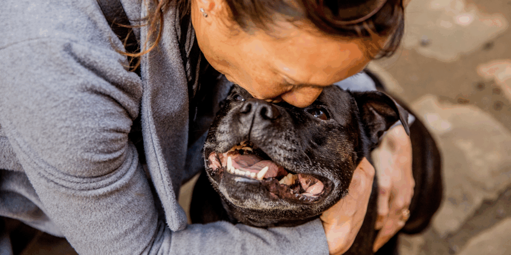 Adopt a Rescued Cat, Dog, or Small Pet at Lort Smith