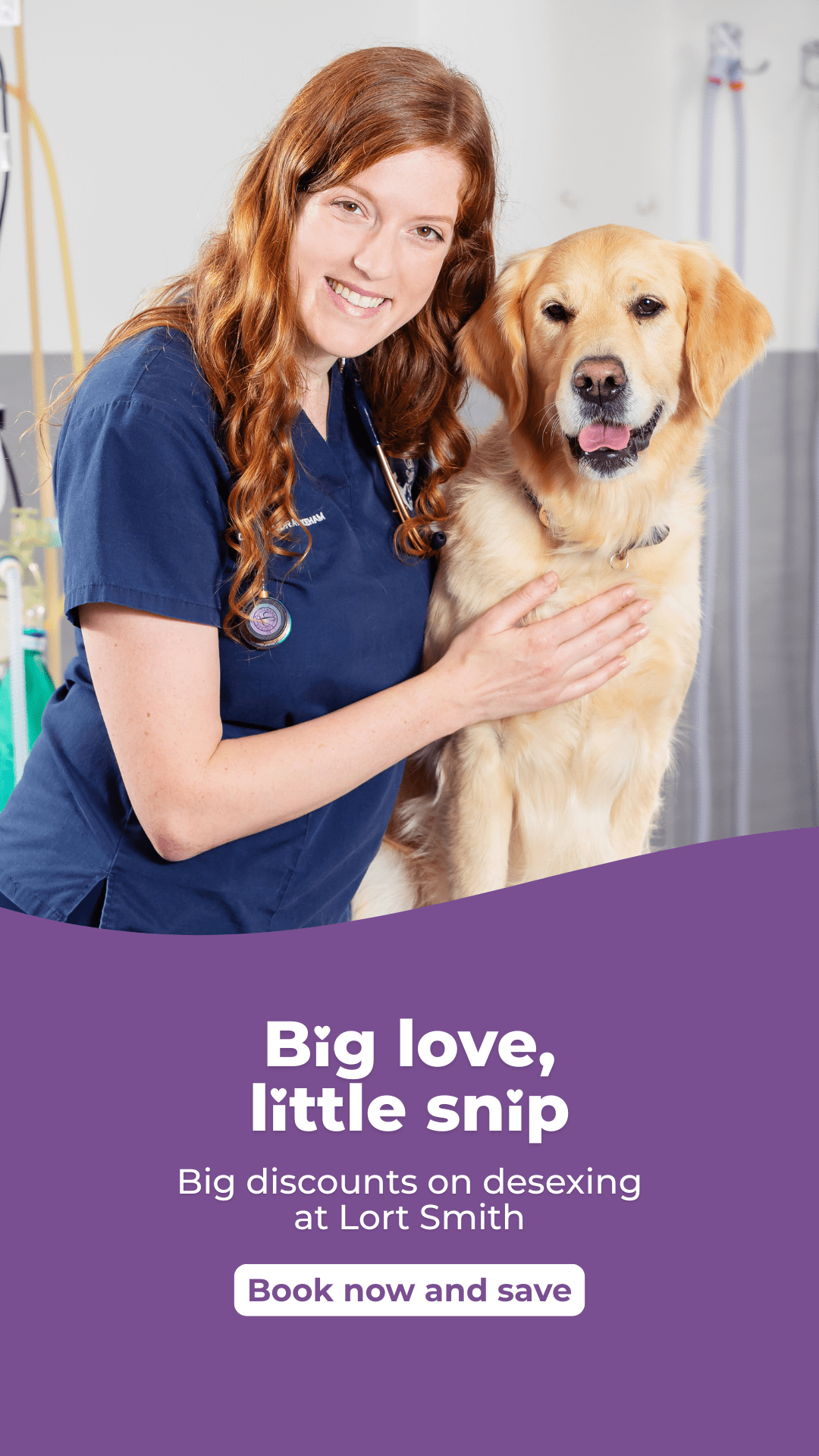 Big love little snip desexing discounts at lort smith