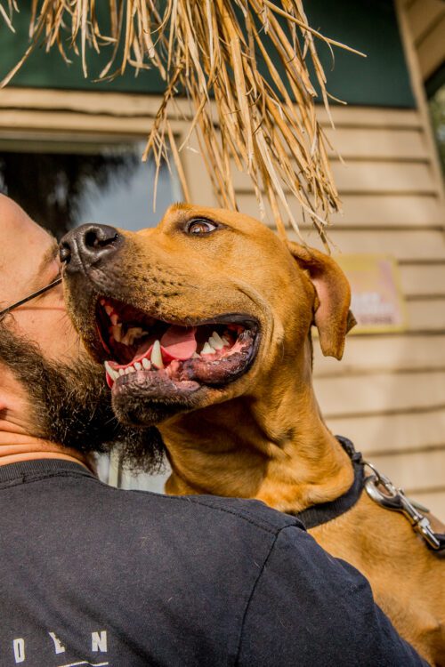 Man with happy brown dog