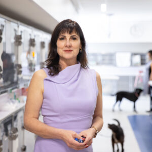 Lort Smith Animal Hospital CEO Frances Mirabelli