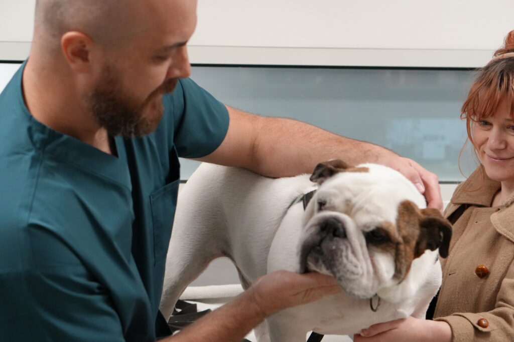 Dr Ben Mielke providing specialist surgical services at Lort Smith