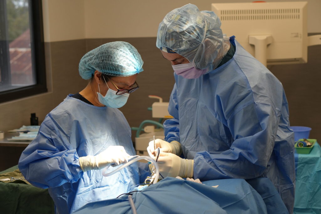 Lort Smith specialist surgeon in procedure